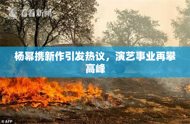 杨幂携新作引发热议，演艺事业再攀高峰