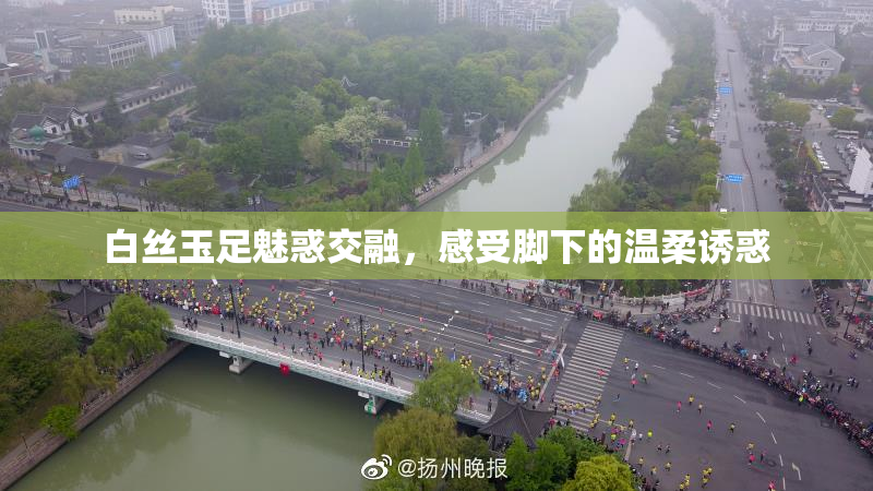 白丝玉足魅惑交融，感受脚下的温柔诱惑