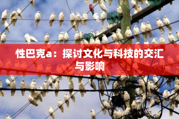 性巴克a：探讨文化与科技的交汇与影响