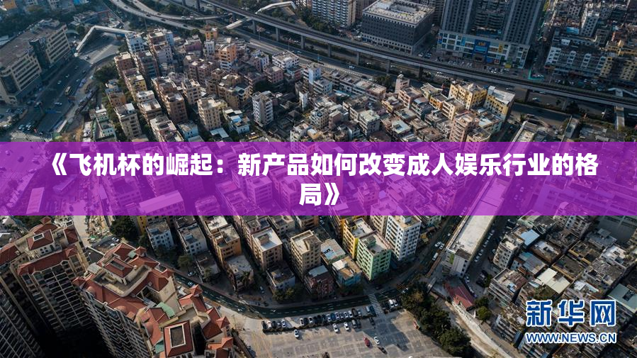 《飞机杯的崛起：新产品如何改变成人娱乐行业的格局》