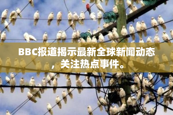 BBC报道揭示最新全球新闻动态，关注热点事件。