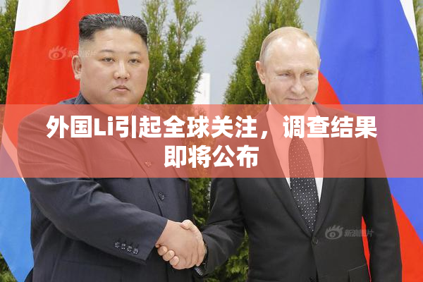 外国Li引起全球关注，调查结果即将公布