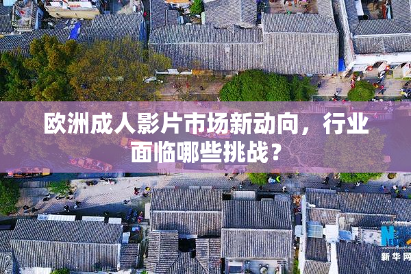 欧洲成人影片市场新动向，行业面临哪些挑战？