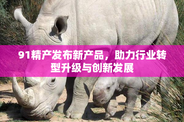 91精产发布新产品，助力行业转型升级与创新发展