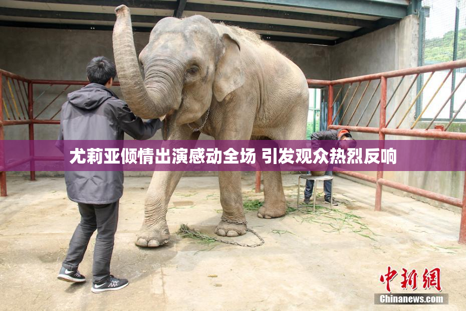 尤莉亚倾情出演感动全场 引发观众热烈反响