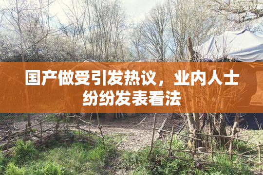 国产做受引发热议，业内人士纷纷发表看法