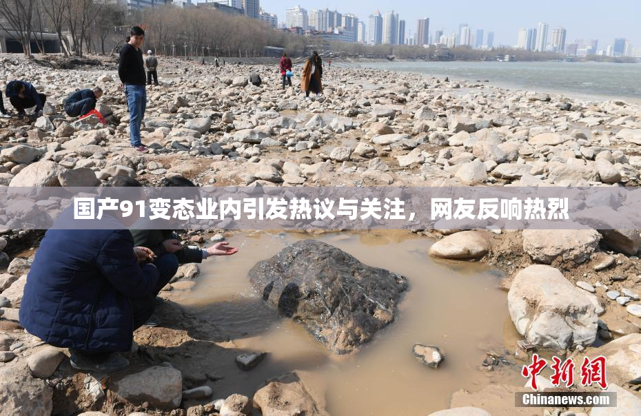 国产91变态业内引发热议与关注，网友反响热烈