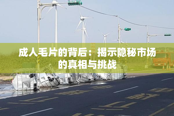 成人毛片的背后：揭示隐秘市场的真相与挑战