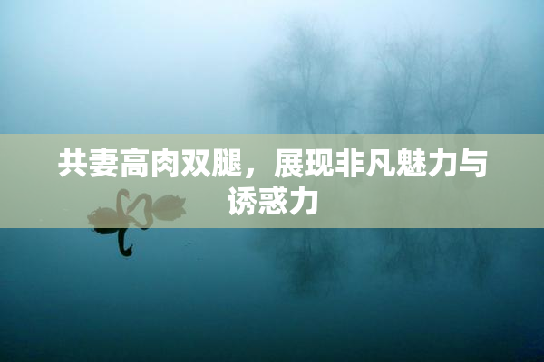 共妻高肉双腿，展现非凡魅力与诱惑力