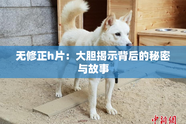 无修正h片：大胆揭示背后的秘密与故事