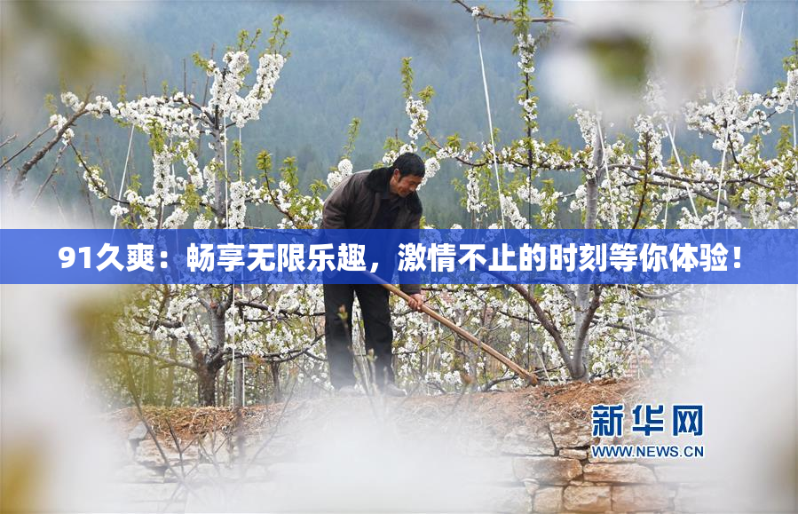 91久爽：畅享无限乐趣，激情不止的时刻等你体验！