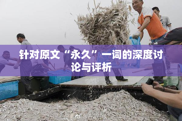 针对原文“永久”一词的深度讨论与评析