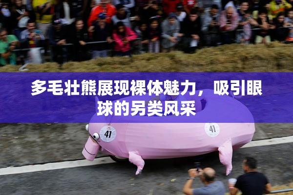 多毛壮熊展现裸体魅力，吸引眼球的另类风采