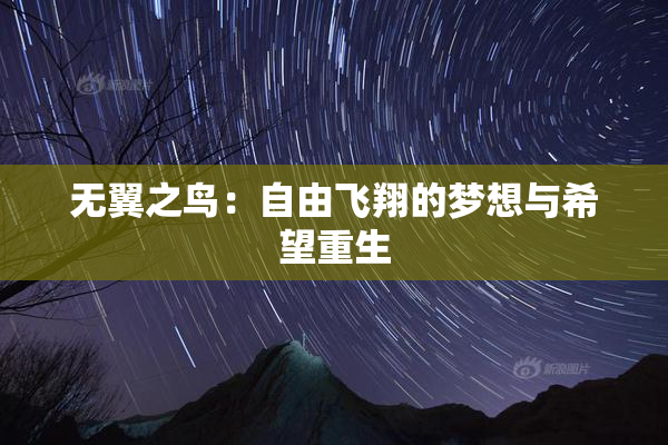 无翼之鸟：自由飞翔的梦想与希望重生