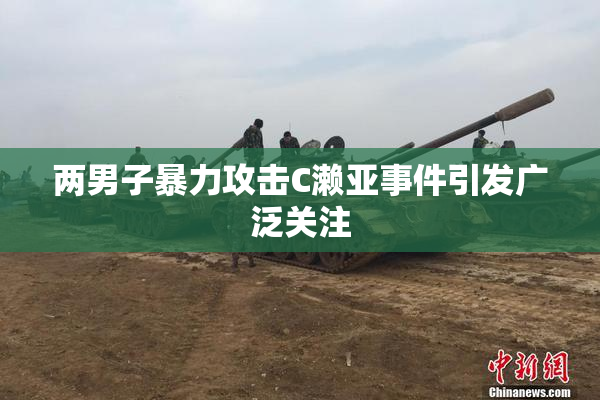 两男子暴力攻击C濑亚事件引发广泛关注