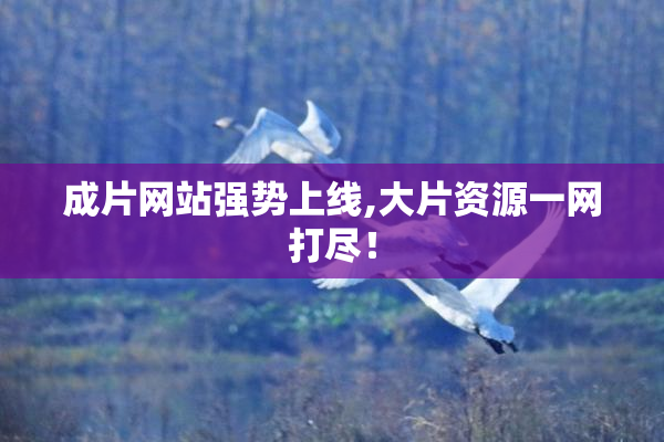 成片网站强势上线,大片资源一网打尽！