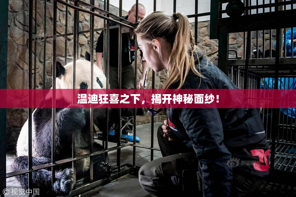 温迪狂喜之下，揭开神秘面纱！