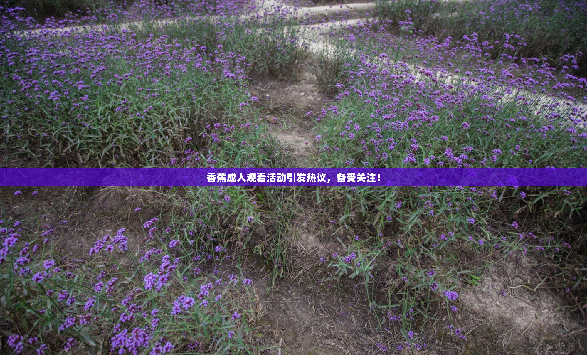 香蕉成人观看活动引发热议，备受关注！
