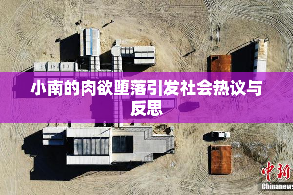 小南的肉欲堕落引发社会热议与反思
