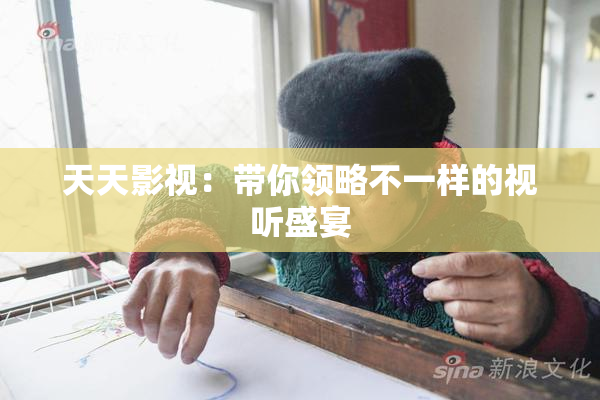 天天影视：带你领略不一样的视听盛宴