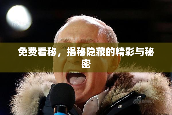 免费看秘，揭秘隐藏的精彩与秘密