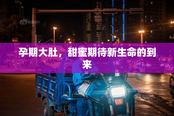 孕期大肚，甜蜜期待新生命的到来