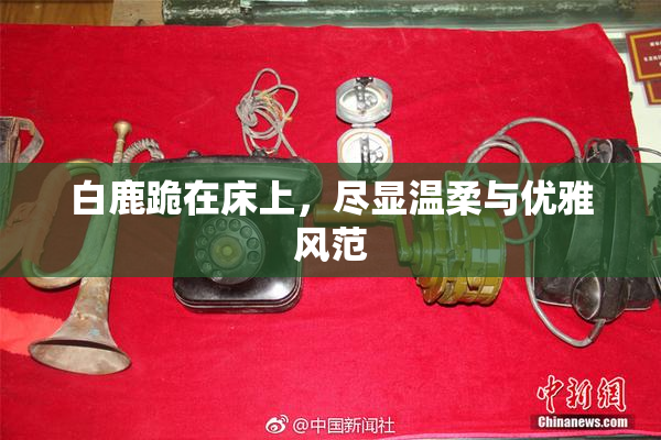 白鹿跪在床上，尽显温柔与优雅风范