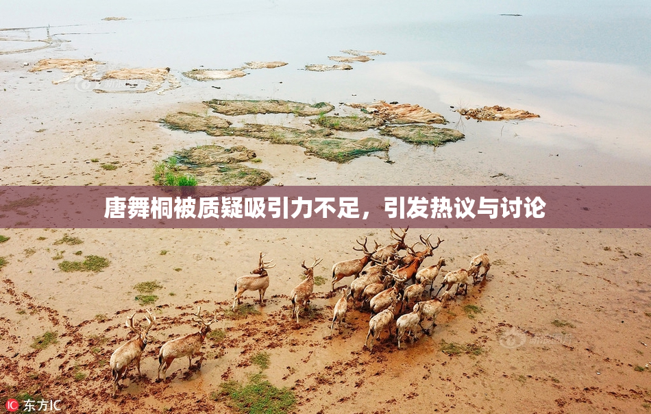 唐舞桐被质疑吸引力不足，引发热议与讨论