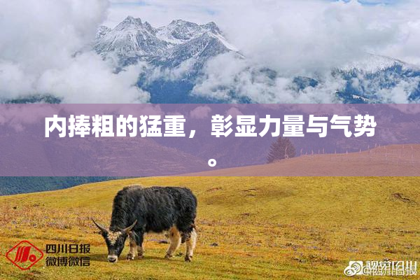 内捧粗的猛重，彰显力量与气势。