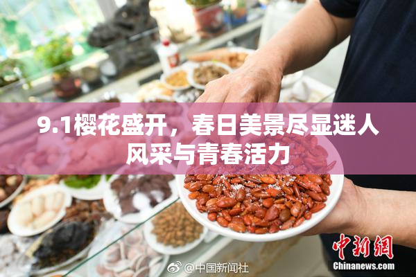 9.1樱花盛开，春日美景尽显迷人风采与青春活力