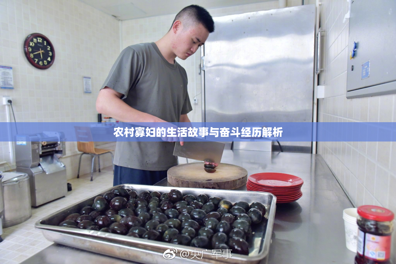 农村寡妇的生活故事与奋斗经历解析