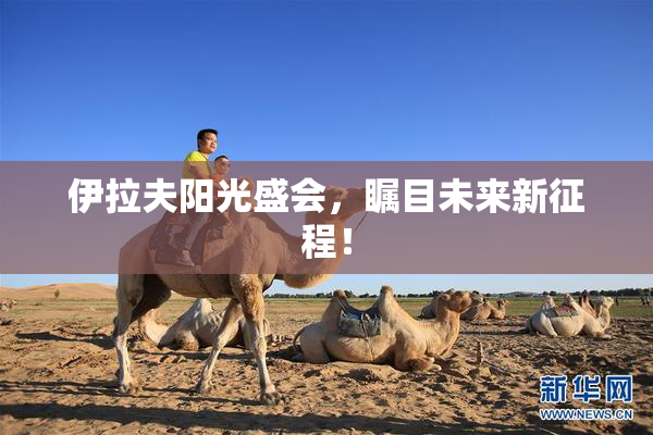 伊拉夫阳光盛会，瞩目未来新征程！