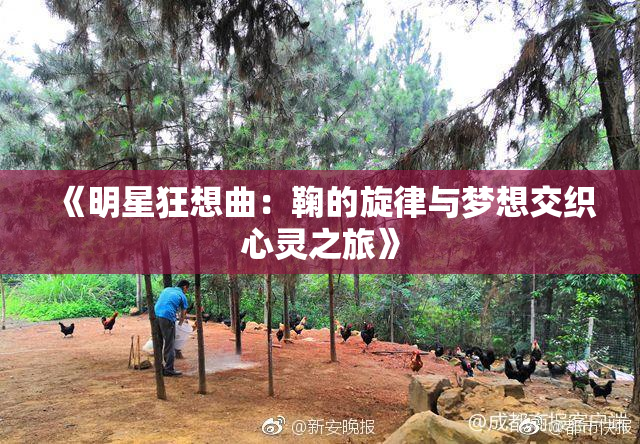 《明星狂想曲：鞠的旋律与梦想交织心灵之旅》