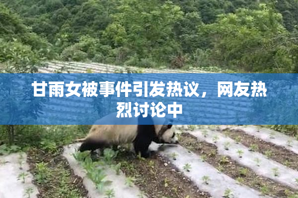 甘雨女被事件引发热议，网友热烈讨论中