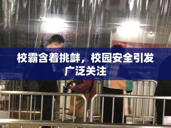 校霸含着挑衅，校园安全引发广泛关注