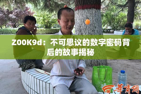 Z00K9d：不可思议的数字密码背后的故事揭秘