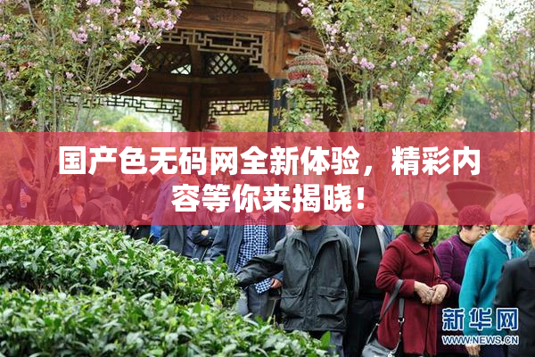 国产色无码网全新体验，精彩内容等你来揭晓！