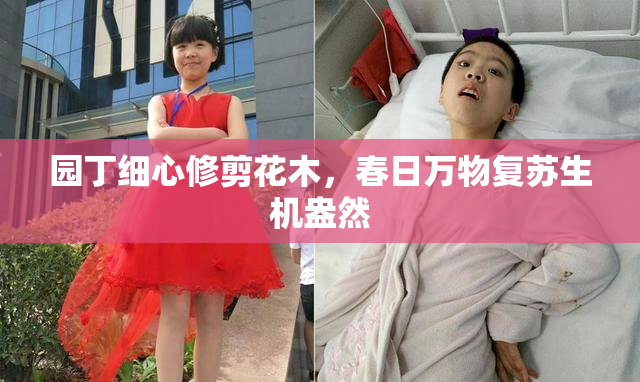 园丁细心修剪花木，春日万物复苏生机盎然