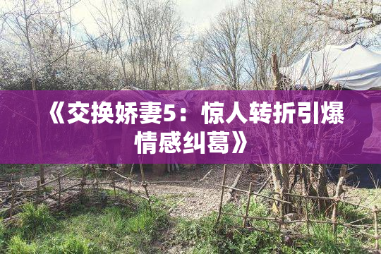 《交换娇妻5：惊人转折引爆情感纠葛》
