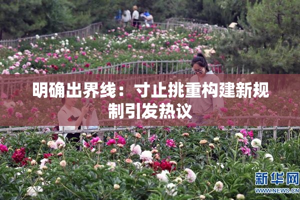 明确出界线：寸止挑重构建新规制引发热议