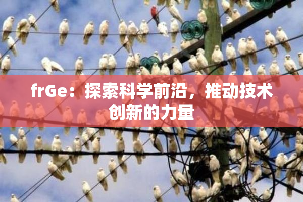 frGe：探索科学前沿，推动技术创新的力量