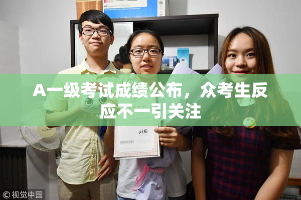A一级考试成绩公布，众考生反应不一引关注