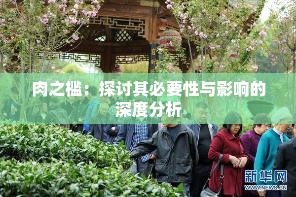 肉之槛：探讨其必要性与影响的深度分析