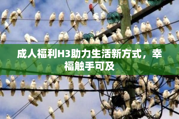 成人福利H3助力生活新方式，幸福触手可及
