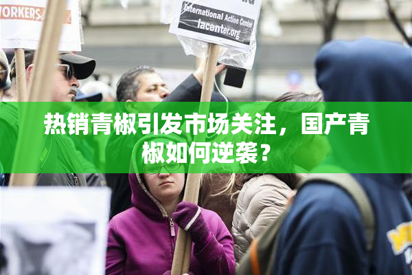 热销青椒引发市场关注，国产青椒如何逆袭？