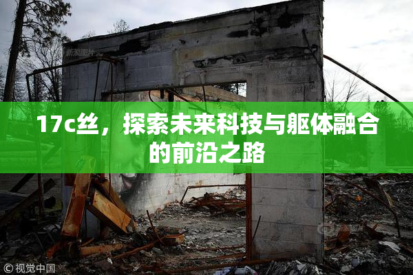 17c丝，探索未来科技与躯体融合的前沿之路