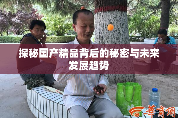 探秘国产精品背后的秘密与未来发展趋势