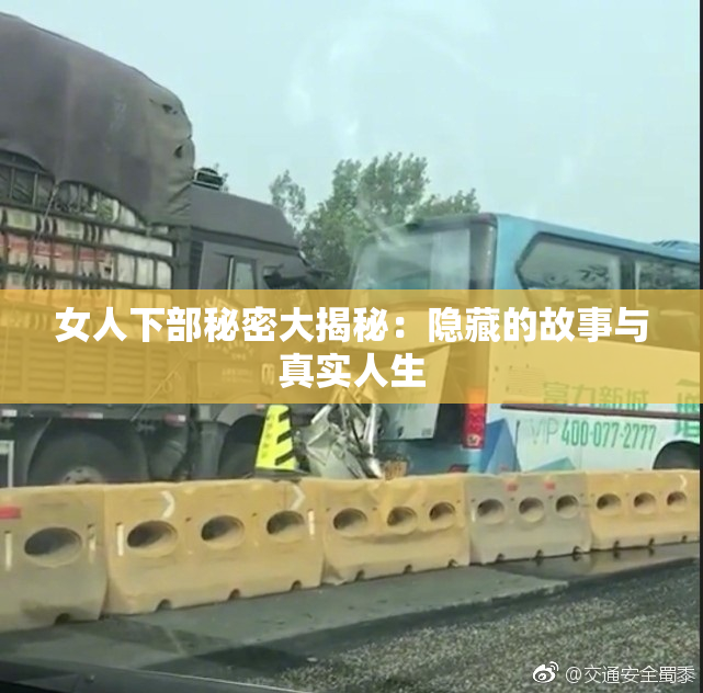 女人下部秘密大揭秘：隐藏的故事与真实人生