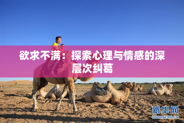 欲求不满：探索心理与情感的深层次纠葛