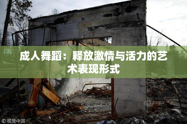 成人舞蹈：释放激情与活力的艺术表现形式